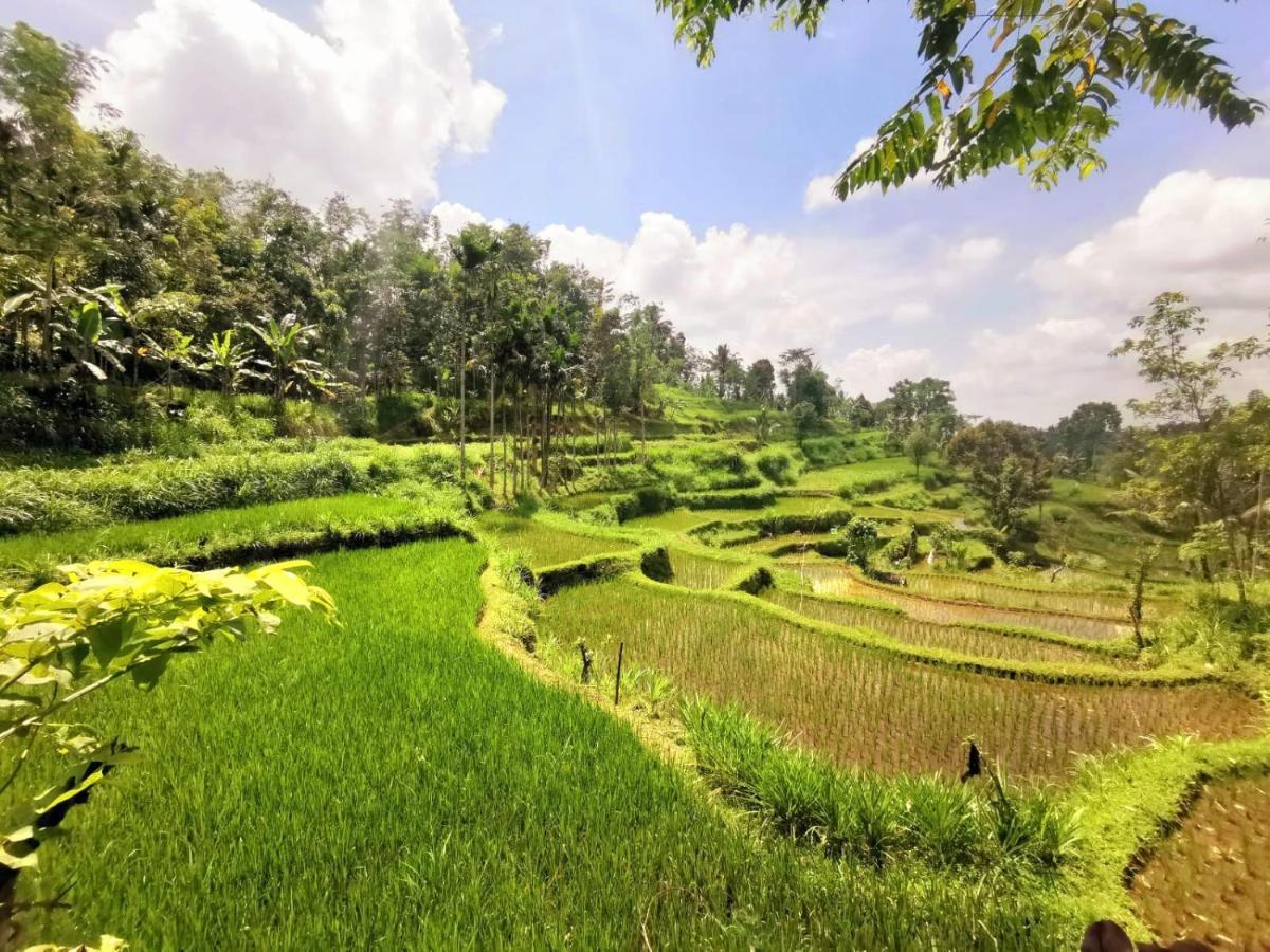 Tetebatu Sama Sama Bungalows Luaran gambar