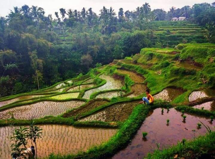 Tetebatu Sama Sama Bungalows Luaran gambar